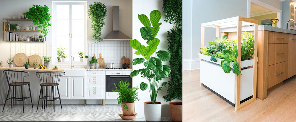 1 Số Ý Tưởng Trang Trí Nhà Bếp Độc Đáo 16 Cây Xanh Trong Trang Trí Nhà Bếp